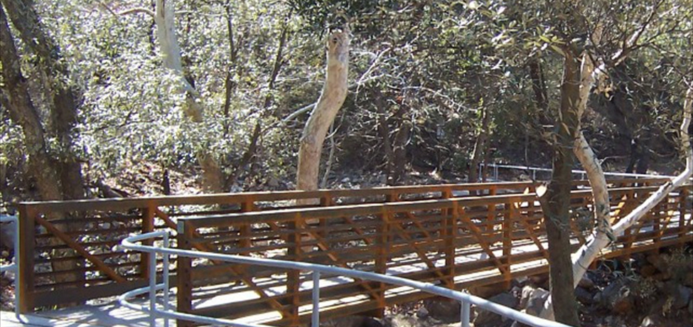 Madera Canyon Pedestrian Bridge Madera Canyon Pedestrian Bridge